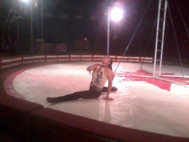 equilibrista
     evelin